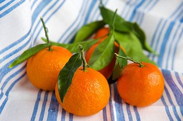 Smakelijke mandarijnen met blad
