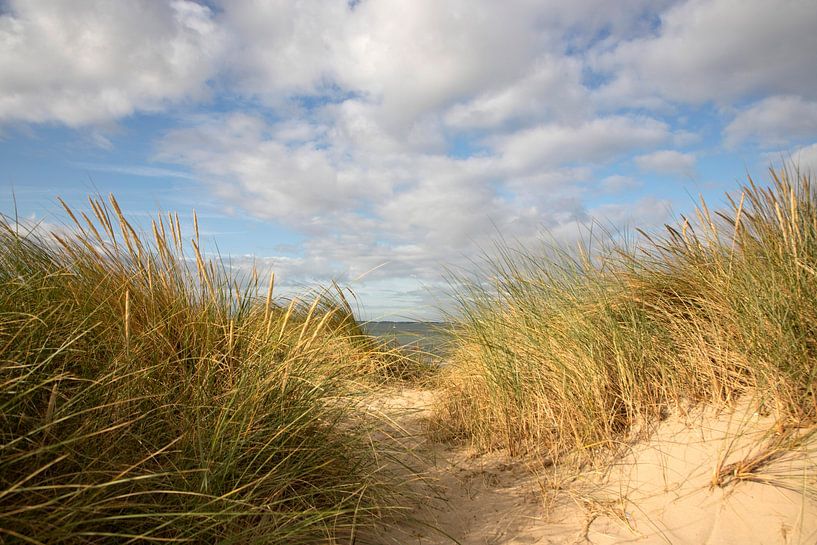 Vue : dunes, plage, mer par Petra Kilwinger