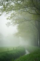 the Achterhoek awakens...