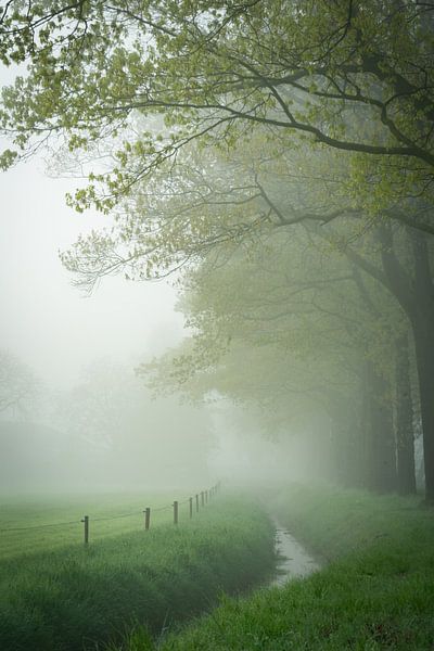 the Achterhoek awakens... by Michiel kijkt!