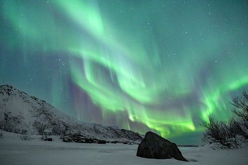 Noorderlicht boven een bevroren meer op de Lofoten in Noorwegen