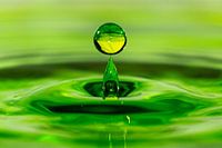 Green Splash