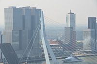 Schoonheid kent vele vormen