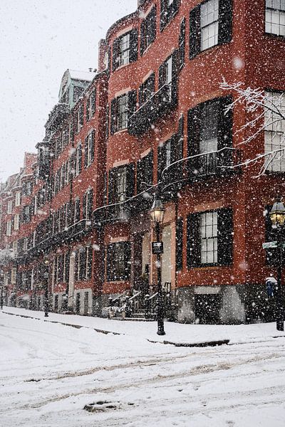 Boston by Hello Pompoyo