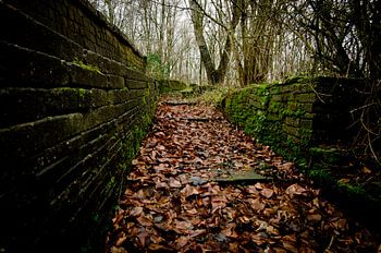 Herfstpad in Ecokathedraal