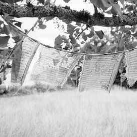 tibetan flags by Delphine Kesteloot