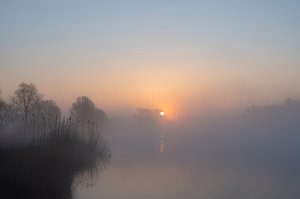 Meinerswijk Teil 17
