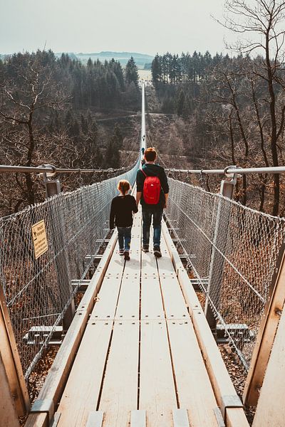 The Geierlay suspension bridge by Peter Deschepper