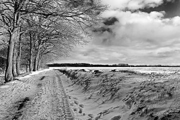 Dwingelderveld in winters zwart-wit van George van der Vliet