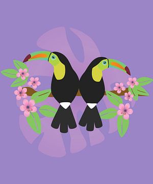 Deux toucans