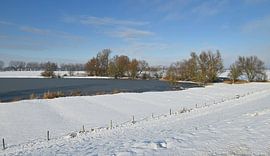 Le silence hivernal au bord de l'eau.