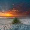 Texel strand Paal 15 mooi plukje helmgras prachtige zonsondergang van Texel360Fotografie Richard Heerschap