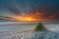 Texel strand Paal 15 mooi plukje helmgras prachtige zonsondergang van Texel360Fotografie Richard Heerschap thumbnail