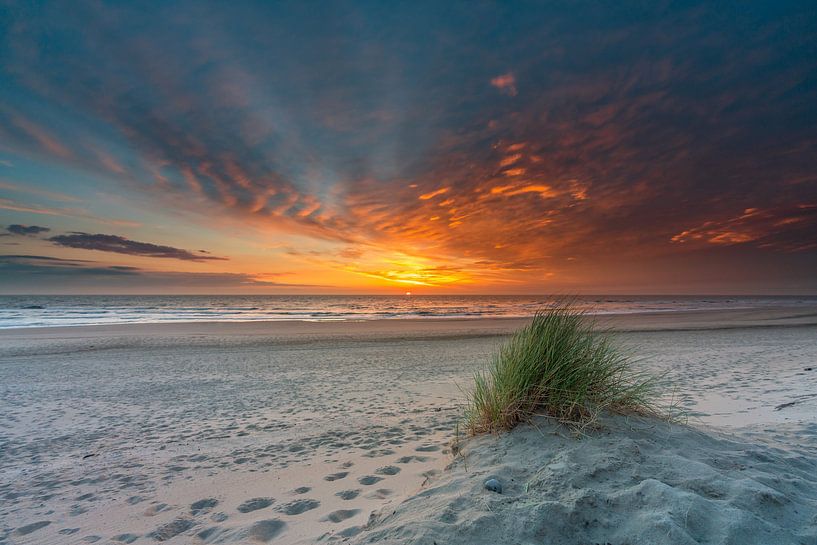 Texel strand Paal 15 mooi plukje helmgras prachtige zonsondergang van Texel360Fotografie Richard Heerschap