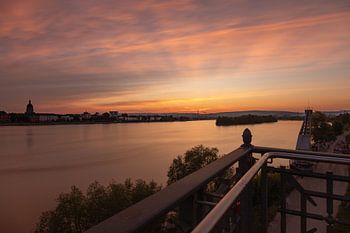 Coucher de soleil à Mayence sur le Rhin