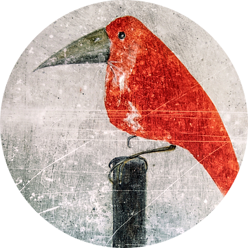 De rode Vogel van Christine Nöhmeier