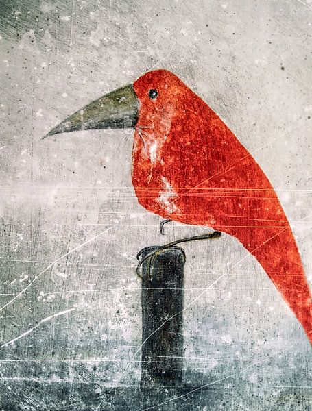 L'oiseau rouge par Christine Nöhmeier