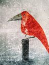 the red bird by Christine Nöhmeier thumbnail