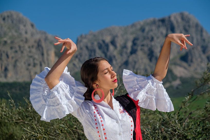 Flamenco Nahaufnahme von Peter Laarakker