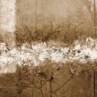 Aurora Botanica - Abstract Scandinavian Minimalist in sepia brown and white