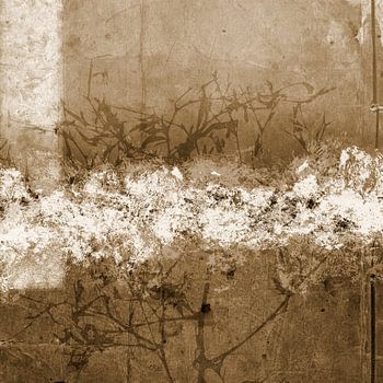 Aurora Botanica - Abstraktes skandinavisches Minimalistisches in sepia braun und weiß
