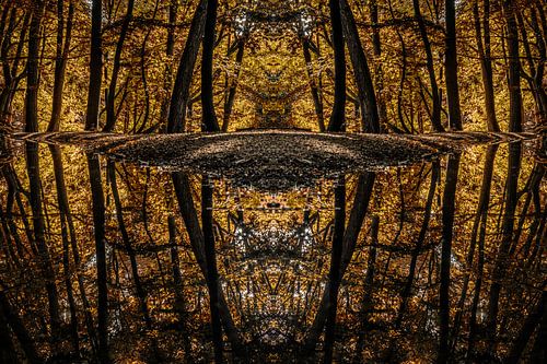 Mirrored reflections