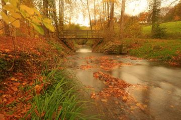 Rêver d'automne sur Antwan Janssen