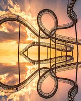 Tiger and Turtle