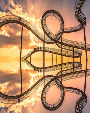 Tiger and Turtle