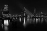 Rotterdam by night