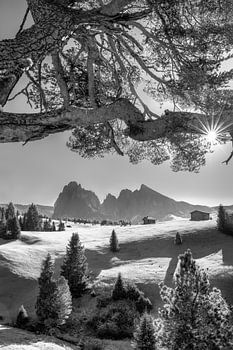 The Alpe di Siusi in the Dolomites. Black and white image.