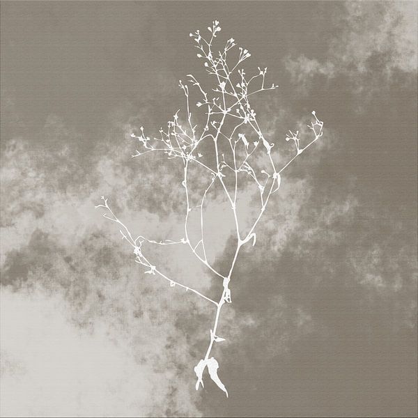 Nuvole di Prato. Abstract Botanical Minimalist in taupe dark retro grey by Dina Dankers