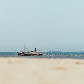 Fishing boat at sea with seagulls by Anne Zwagers