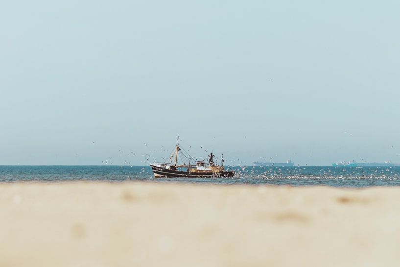 Fischerboot auf See mit Möwen von Anne Zwagers