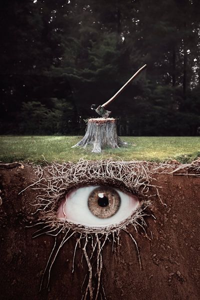 Axe in Tree Stump with Hidden Underground: Mystery and Human Interference by Elianne van Turennout
