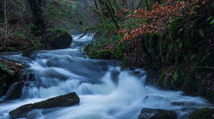 Der Fluss von Natalie Boevé