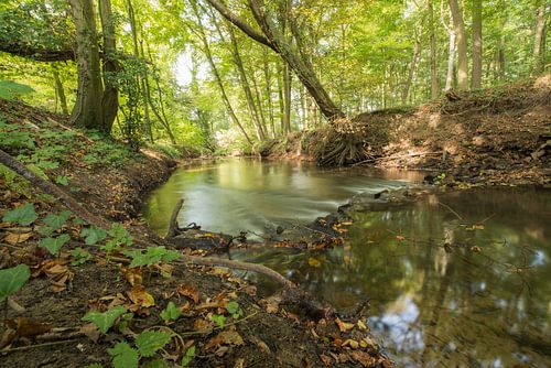 Protected Brook near Winterswijk 