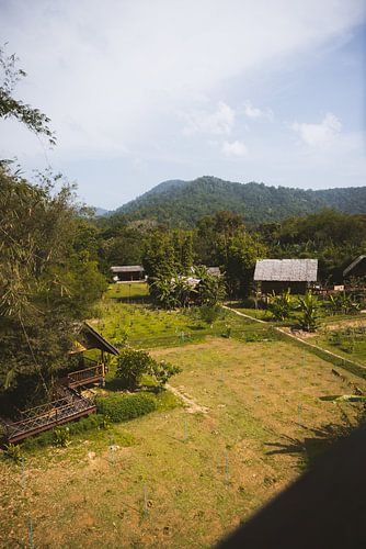Ecofarm en School in Khao Sok: Educatie en Duurzaamheid Hand in Hand