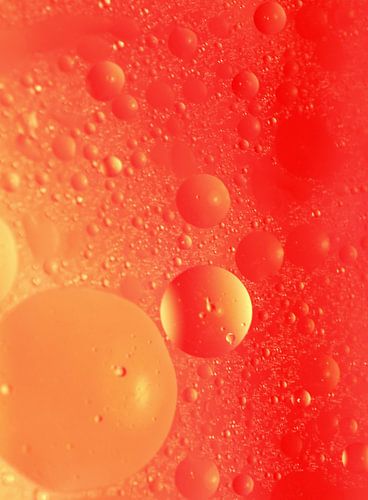 Space by Marcel van Rijn