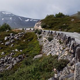 Stilte langs de oude bergweg van Bart Berendsen