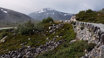 Silence along the old mountain road by Bart Berendsen