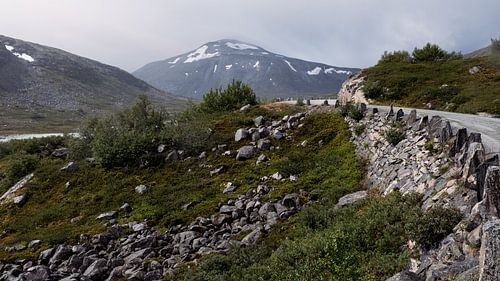 Stilte langs de oude bergweg van Bart Berendsen
