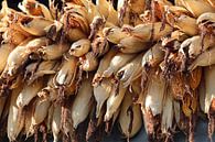 drogende maiskolven Nepal van Marieke Funke thumbnail
