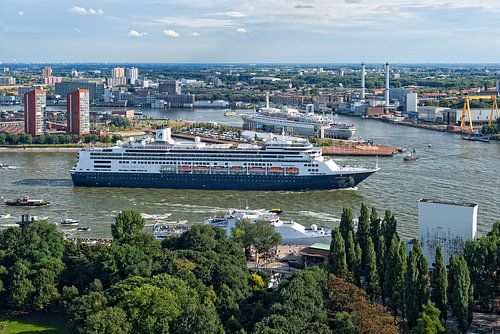 MS Rotterdam en SS Rotterdam / Holland America Line / Euromast van Rob de Voogd / zzapback