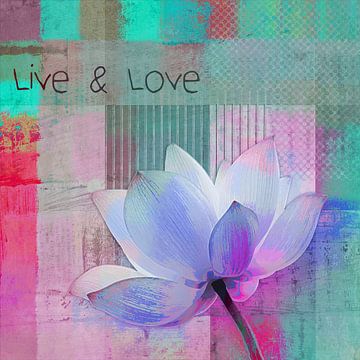 Live n Love - sp99 van Aimelle ML