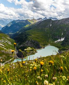 Stuuwmeer auf dem Weg zum Großglockner mit blühend gelben Blüten von Debbie Kanders