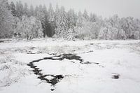 Sneeuwlandschap