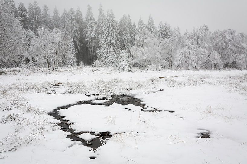 Sneeuwlandschap by Michel Lucas