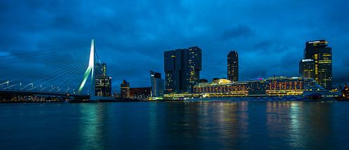 Rotterdam Head of South Cruiseship Erasmus Bridge
