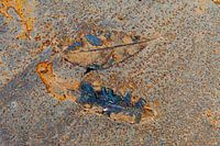 Rusty Leaves IV